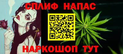 спиды Краснодар